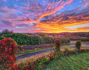 09Aug Belltown Hill Orchards