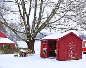 00Cover-Bussa Orchards in Winter