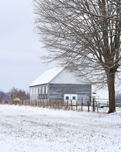 04 Gray Barn in Snow