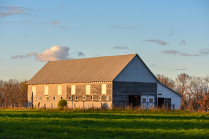 20 Spring Day on the Farm 