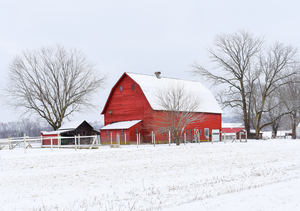 09 Winter on Horton Farm