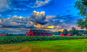 12 Clouds Over Horton Farm