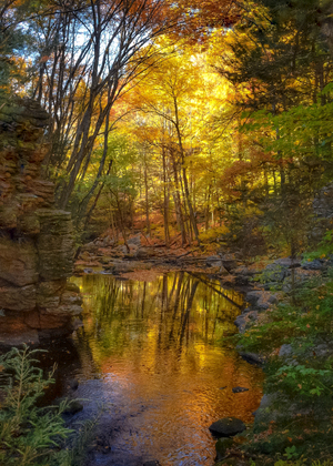 02 Cotton Hollow Autumn Glow