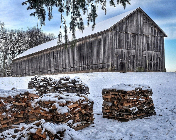 G05 Firewood Stacked for Winter Print