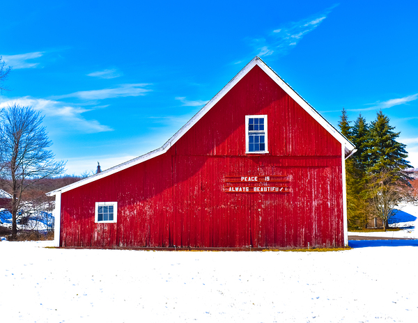 G08 A Blue Sky Day Print