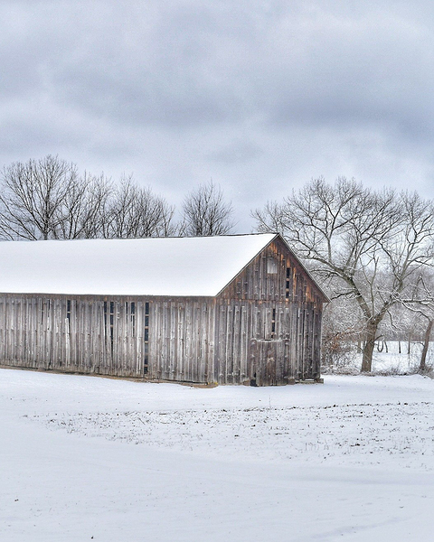 G09 Winter in the River Valley Print