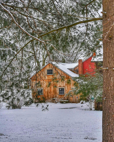 G12 Cabin in the Woods Print