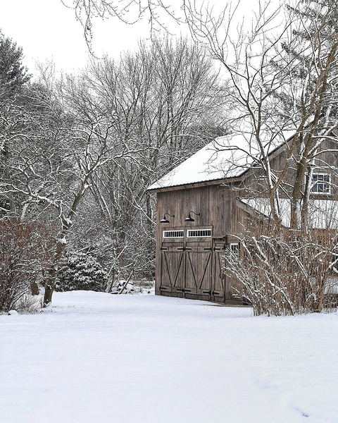 G14 Winter Serenity Print