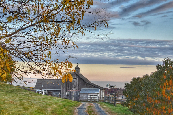 11Nov Hi Gate Farms Print