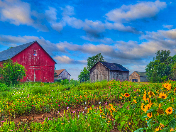 07Jul Gutt Family Farm Print