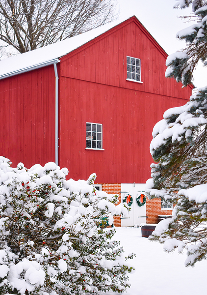 10 Winter Card Print