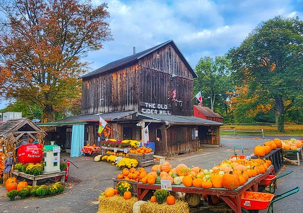 03 Autumn Card Print