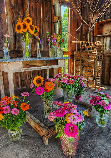 06 Spring Card Print