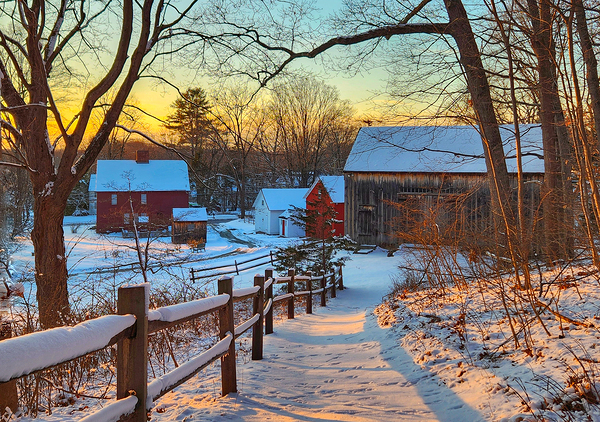 14 Winter Card Print