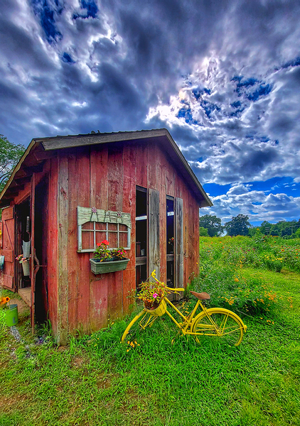 08 Summer Card Print