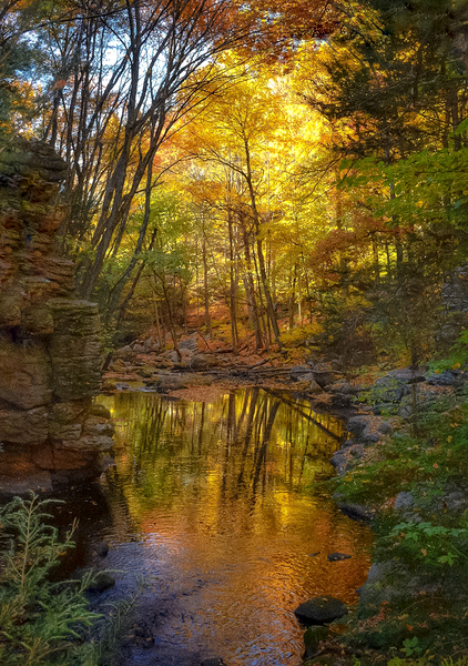 02 Autumn Card Print