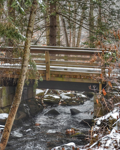 Over the River Print