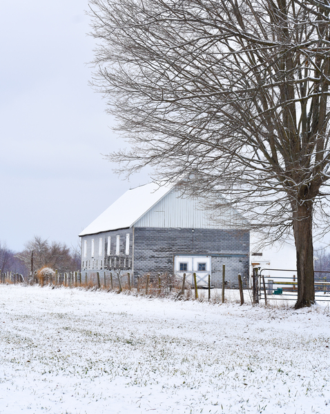 04 Gray Barn in Snow Print
