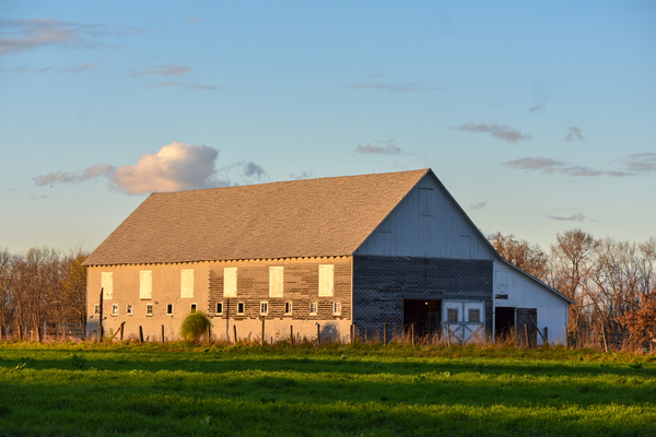 20 Spring Day on the Farm  Print