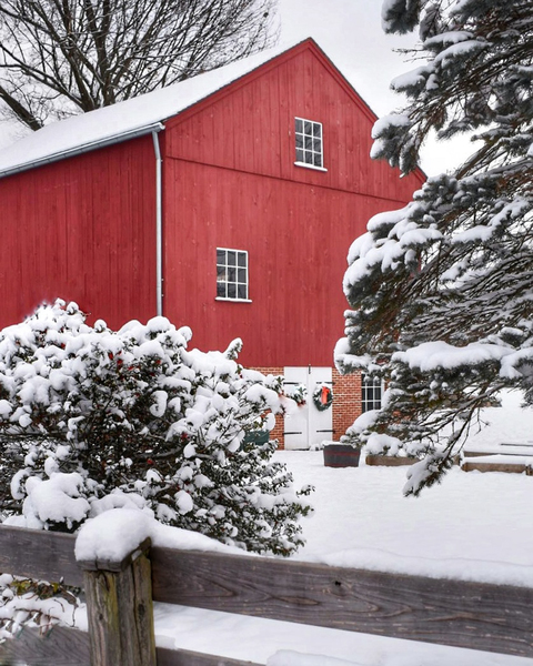 17 Snow Day in New England Print