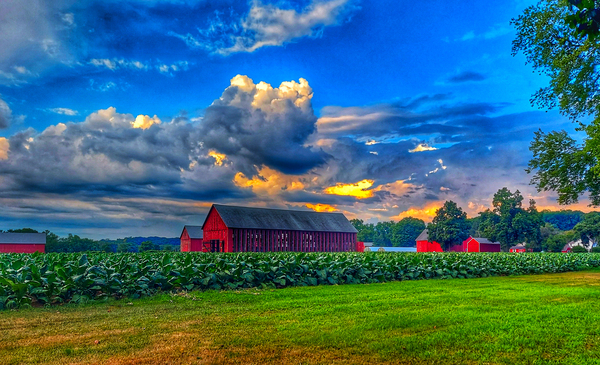 12 Clouds Over Horton Farm Print