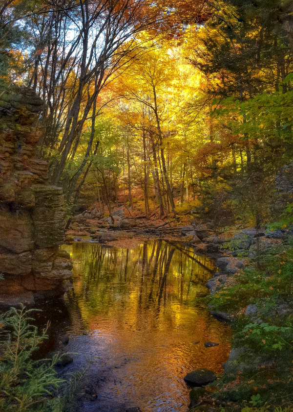 02 Cotton Hollow Autumn Glow Print