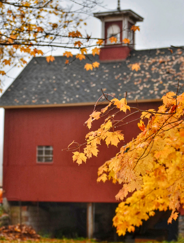 08 Rainy Day Barn in Autumn Print