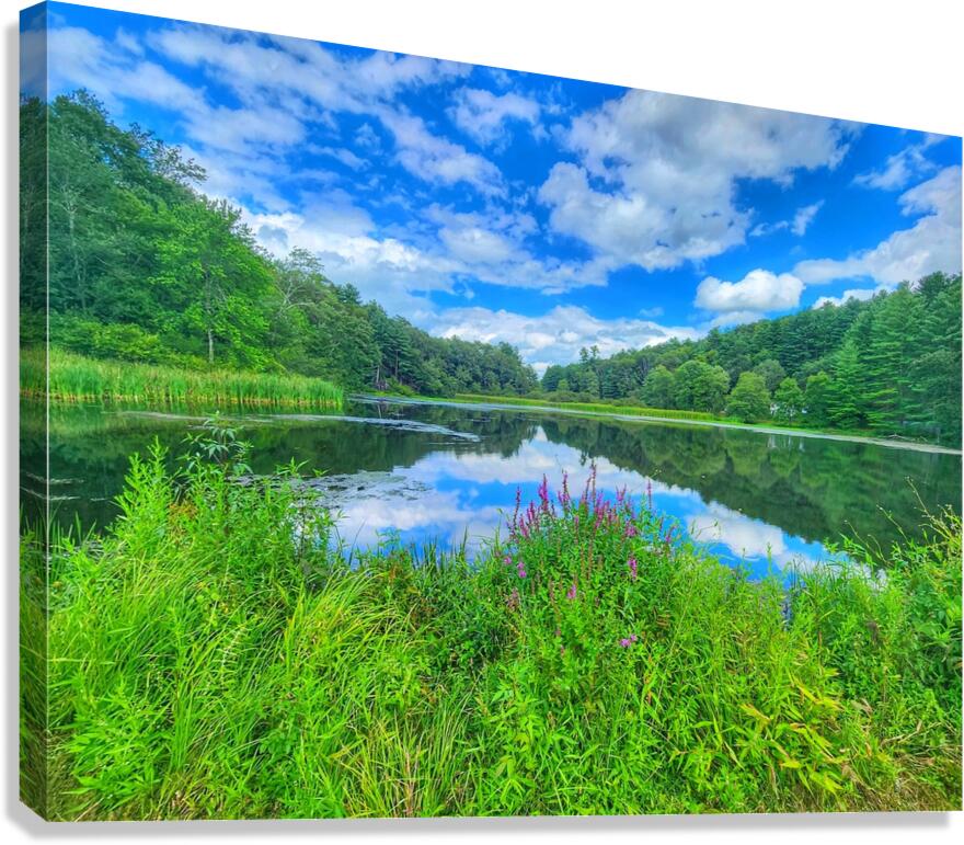08Aug Eastbury Pond Canvas Print