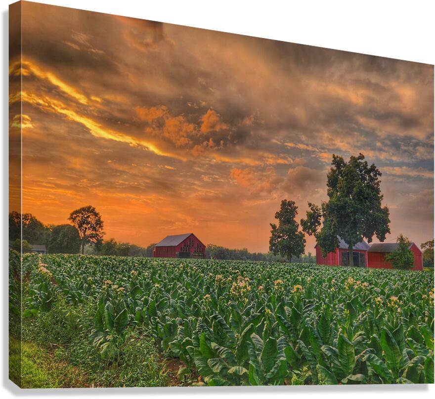 06Jun HortonFarm Canvas Print
