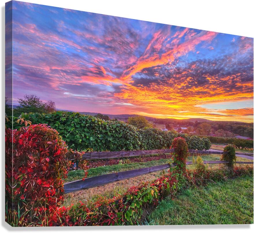 09Aug Belltown Hill Orchards Canvas Print