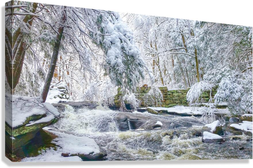 02Feb Cotton Hollow Canvas Print