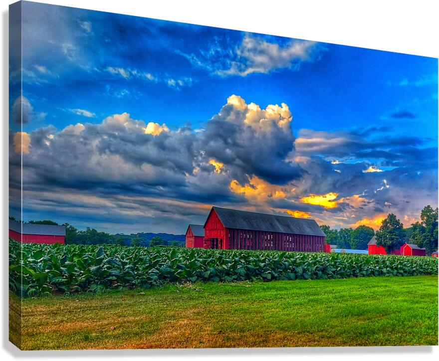09 Summer Card Canvas Print