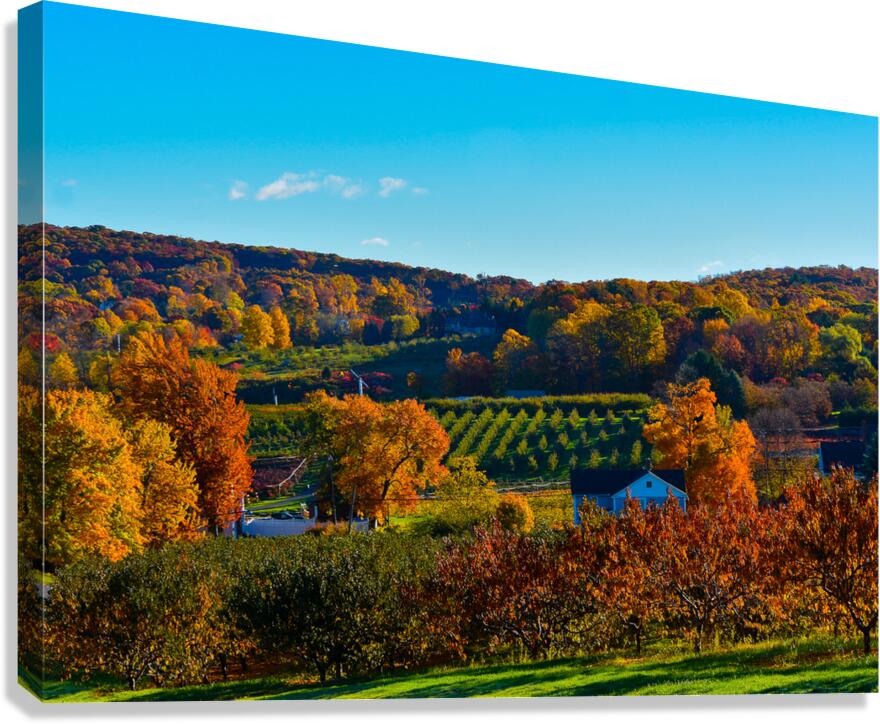 04 Autumn Card Canvas Print