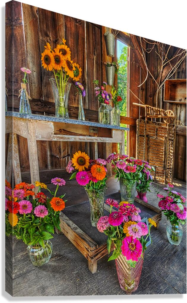 06 Spring Card Canvas Print