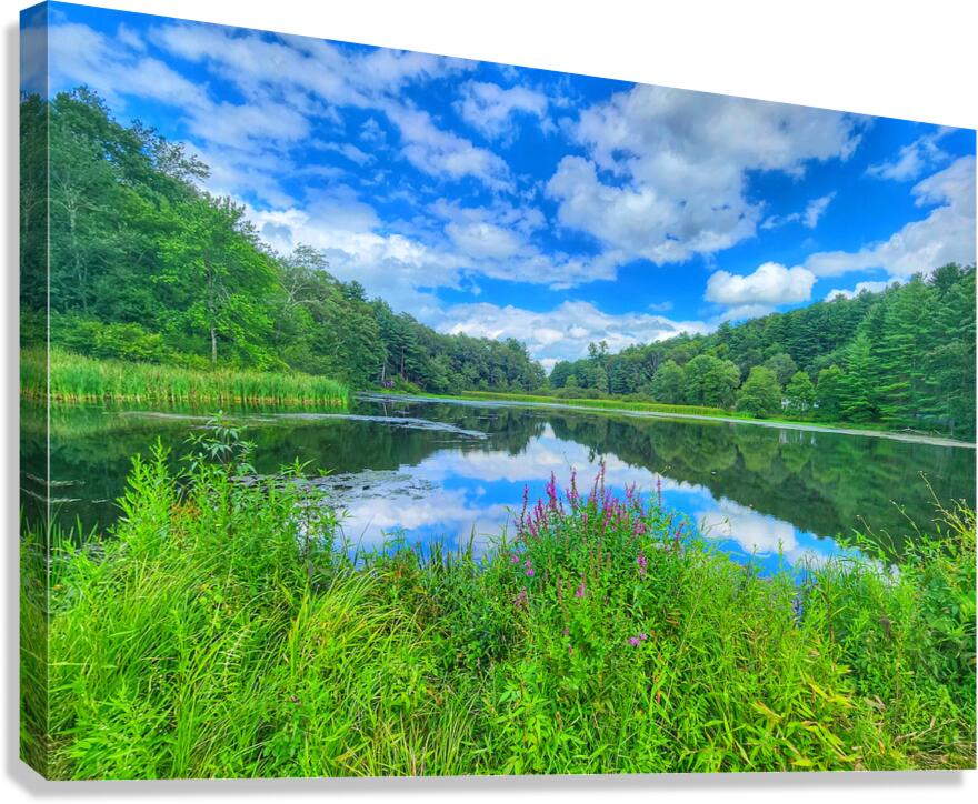 07 Spring Card Canvas Print