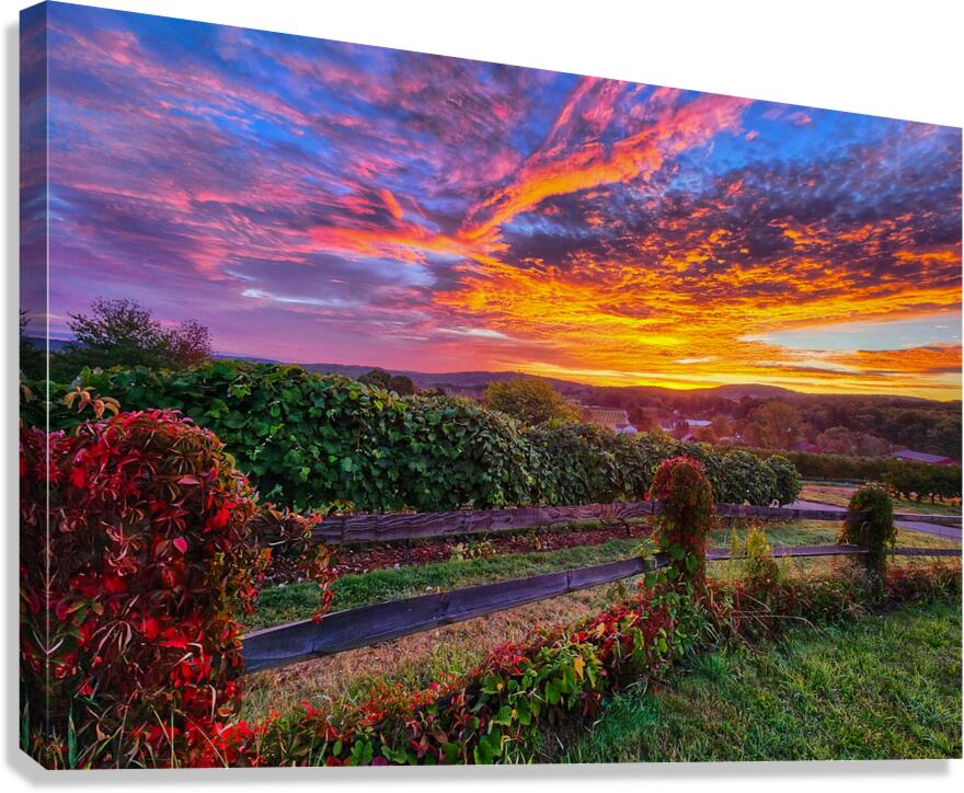 05 Spring Card Canvas Print