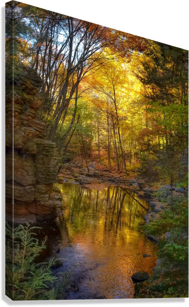 02 Autumn Card Canvas Print