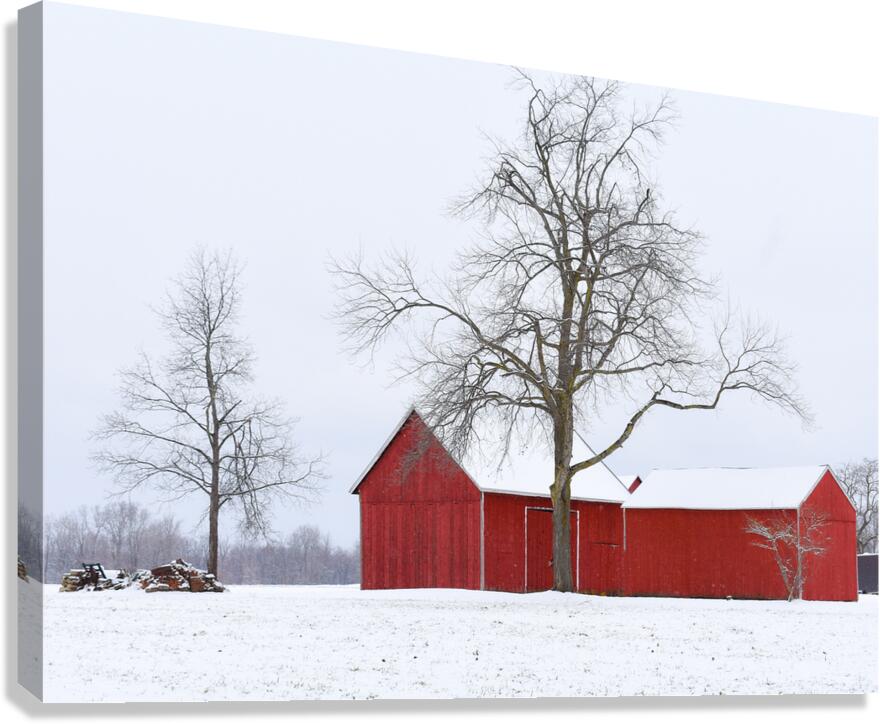 11 Winter Card Canvas Print