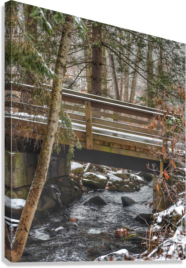 Over the River Canvas Print