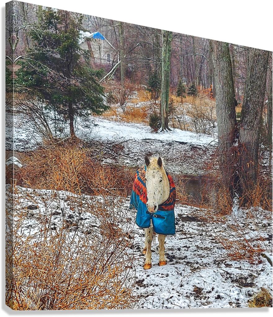 Cherokee Canvas Print