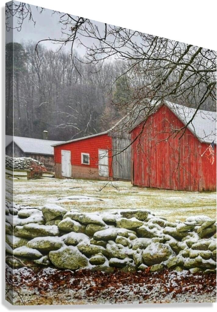 Rainy Day Canvas Print