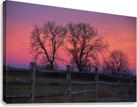 18 Morning Sunrise on the Farm Canvas Print