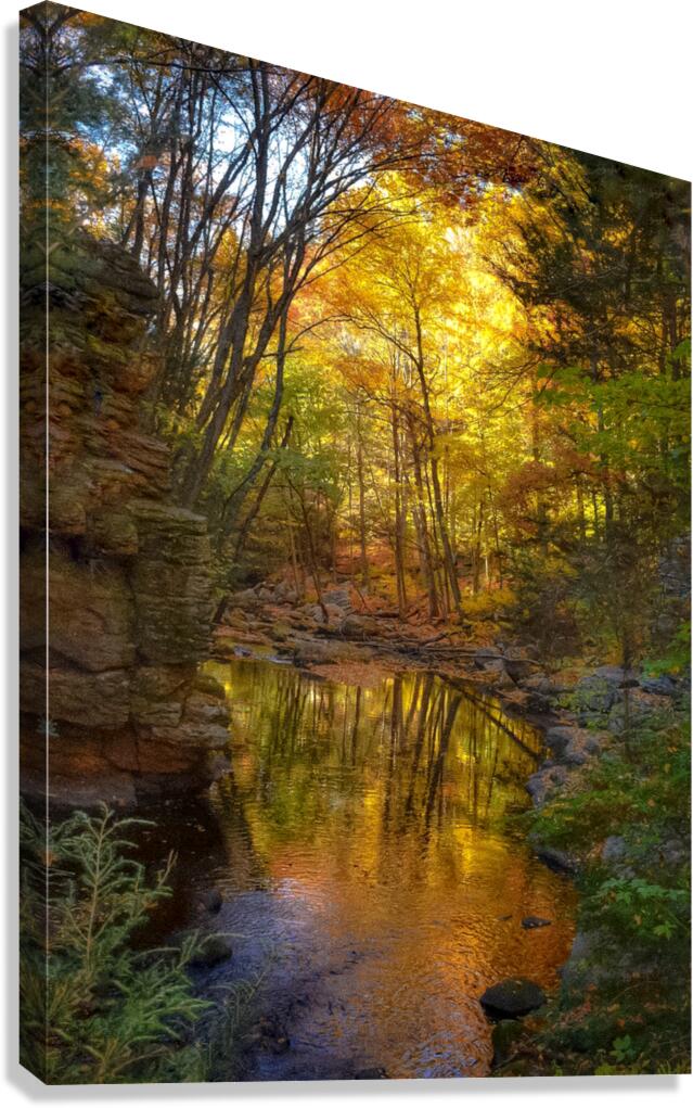 02 Cotton Hollow Autumn Glow Canvas Print