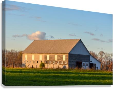 20 Spring Day on the Farm  Canvas Print