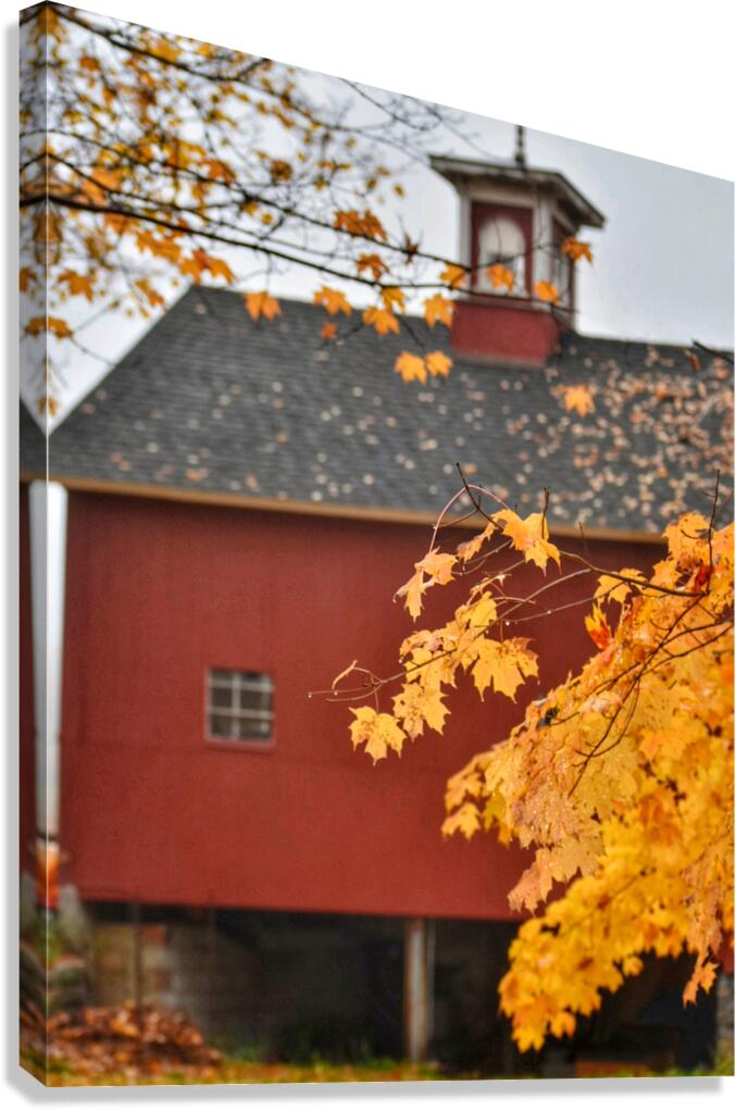08 Rainy Day Barn in Autumn Canvas Print
