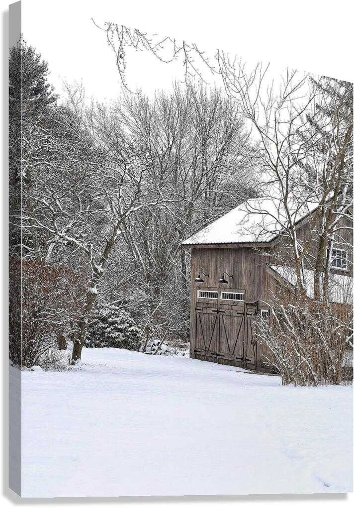 G14 Winter Serenity Canvas Print