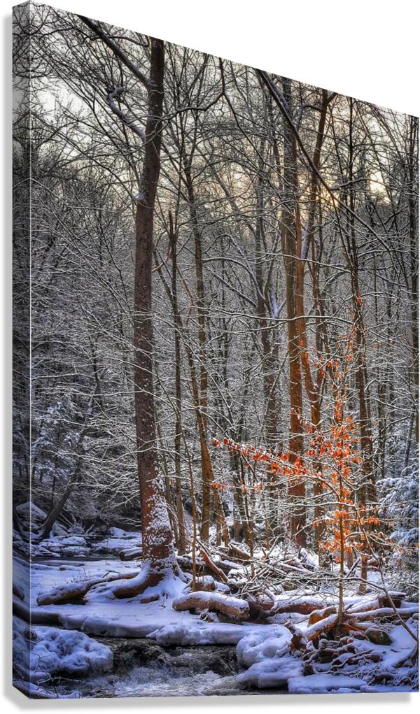 G19 Shining Light Canvas Print