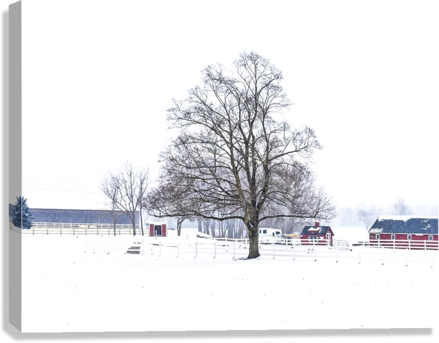 G02 Snow Day on the Farm Canvas Print
