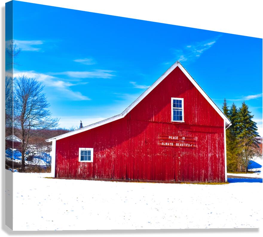 G08 A Blue Sky Day Canvas Print
