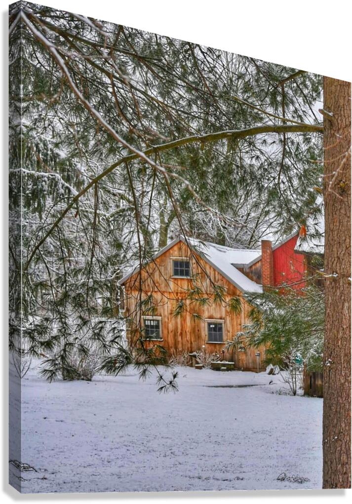 G12 Cabin in the Woods Canvas Print